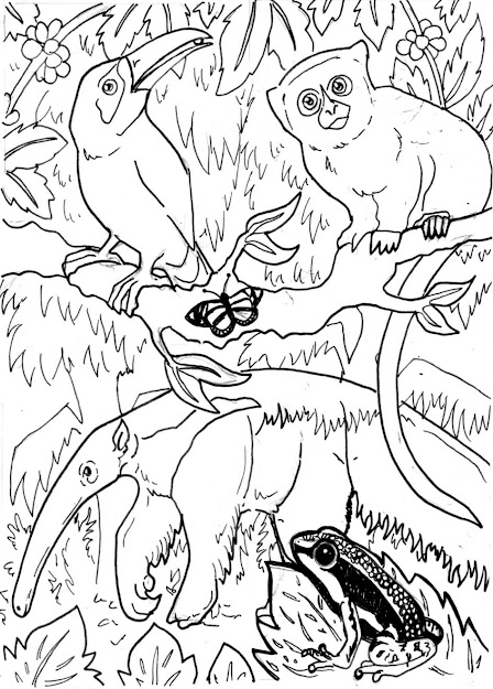 Free Coloring Pages Rainforest Animals  Rainforest Coloring Pages Latest Rainforest  Coloring Pages Free Printabl 