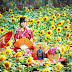 Taman Bunga Nawari Hadirkan Nuansa Kimono Ala Jepang