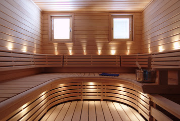 Sauna-heater