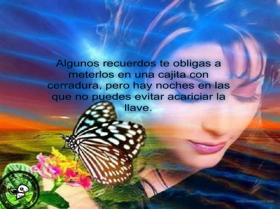 Frases bonitas