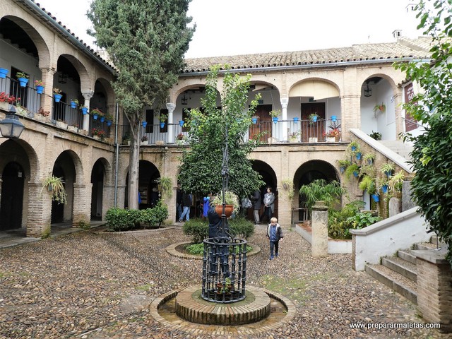 patios y flores en Córdoba