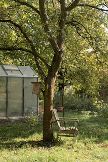 Vogelhaus und Sessel am Baum - Gewächshaus - © K. Matijasevic