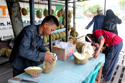 Nikmatnya Durian Montong Asal Palu