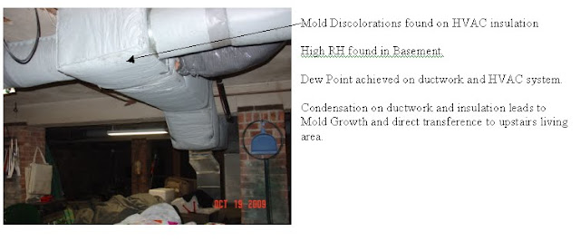 mold in HVAC duct with High Humidity in basement.