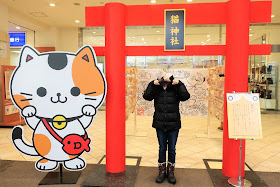 北海道 札幌 猫神社