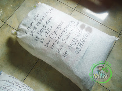 FOTO 2 :  Benih Padi TRISAKTI untuk Dede Heru Subang  