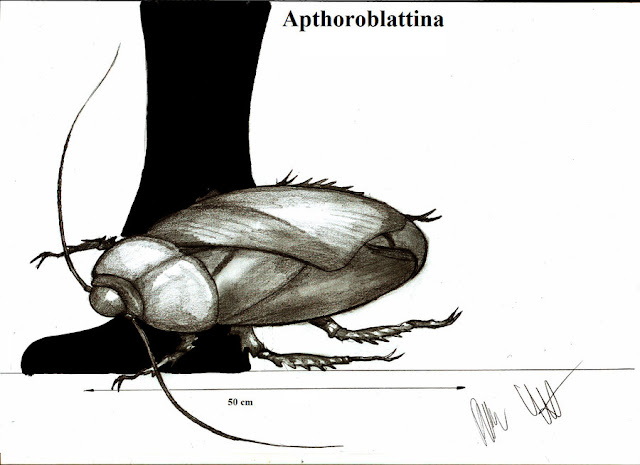 閲覧注意!ゴキブリのまだまだ知らない驚くべき世界【n】　古代の巨大ゴキブリ アプソロブラッティナ