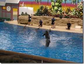 zoo9
