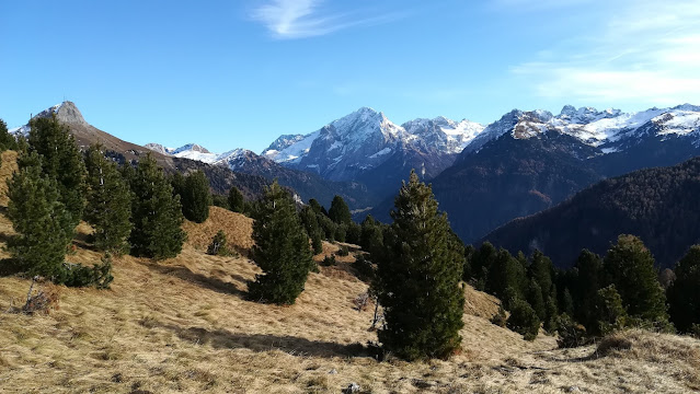 da rifugio Micheluzzi a rifugio Sasso Piatto