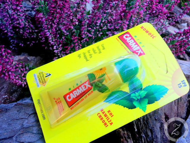 carmex mint recenzja