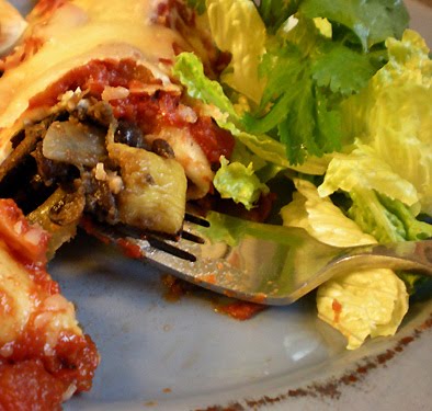 Vegetarian enchilada recipes