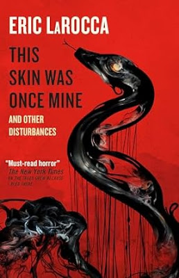 book cover of horror short story collection This Skin Was Once Mine and Other Disturbances by Eric LaRocca