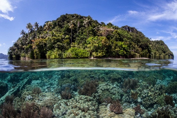 Kepulauan Solomon, Tempat Wisata yang Layak Dikunjungi