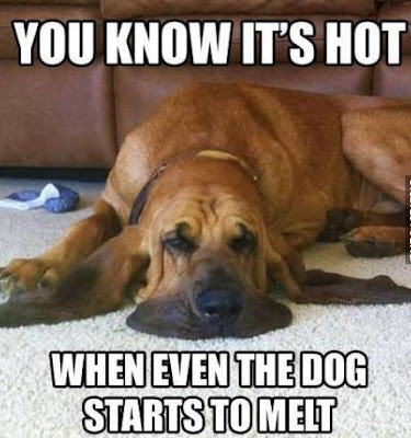 You know its hot