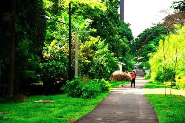 BGC Greenway Park