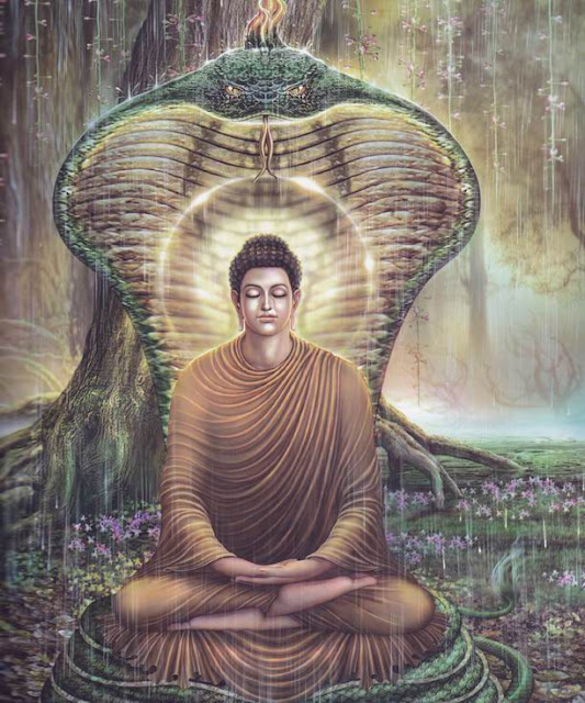Phần VIII - QUY Y NƯƠNG TỰA - GIÁO TRÌNH PHẬT HỌC - Đạo Phật Nguyên Thủy