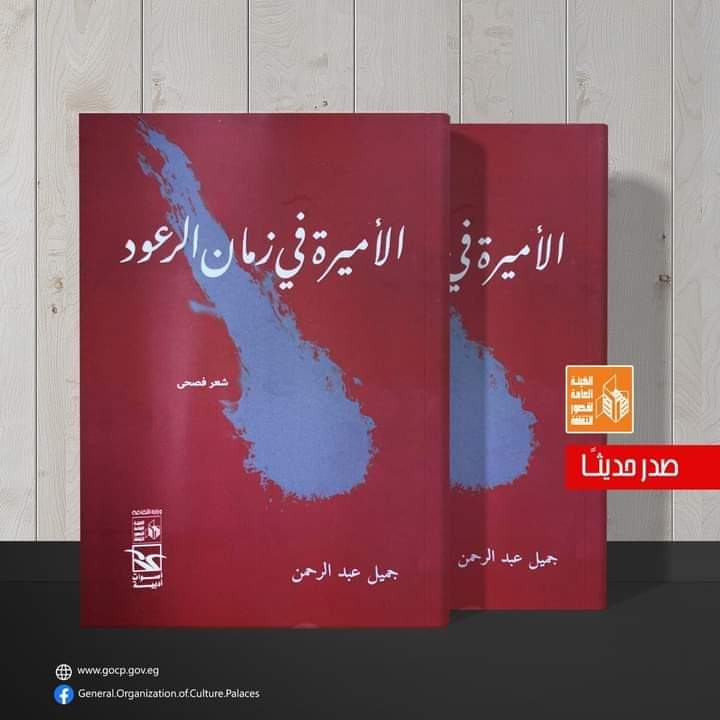 "الأميرة في زمان الرعود".. ديوان جديد للشاعر جميل عبد الرحمن عن قصور الثقافة