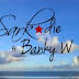 VIDEO: Sarkodie – Pon Di Ting F. Banky W