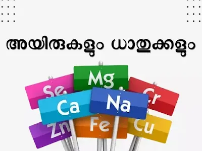 Ores and Minerals Question Answers - അയിരുകളും ധാതുക്കളും