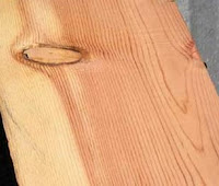 Jenis Jenis Kayu  Pinus  yang Biasa Digunakan dalam 