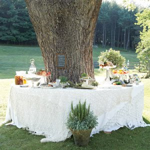 Country Wedding Idea