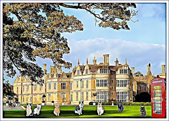 The B Team's Kirby Hall Selfie ©BionicBasil® Caturday Art Plus Smooch's UK Historical Travel Guide