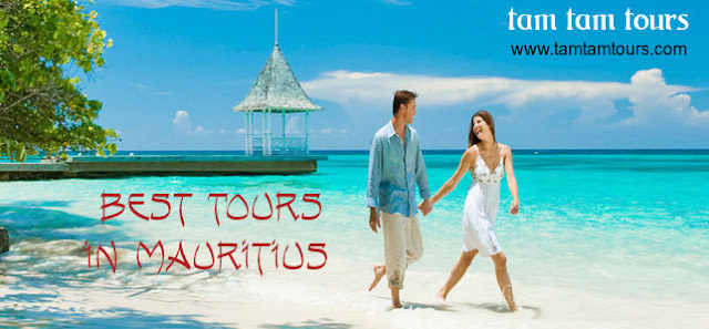 tours in mauritius
