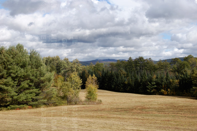 View from Hopson Road in Norwich Vermont -- photo by Gabriel L. Daniels