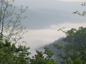 fog in Delaware Valley