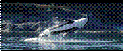 clip_image002