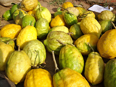 Lists of most common fruits of Nepal