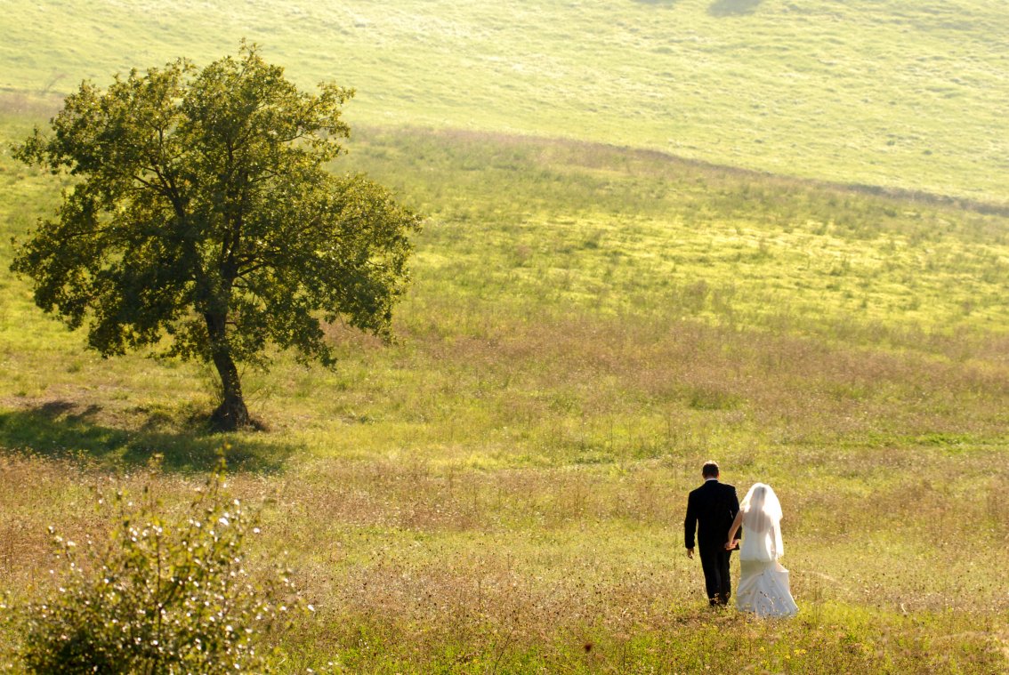 The back for your wedding can