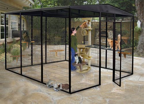 Idea bergambar untuk rumah kucing - Kongxie  Kongsi 