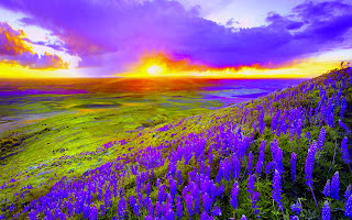 Beautifull SunSet HD Desktop Wallpaper Photos