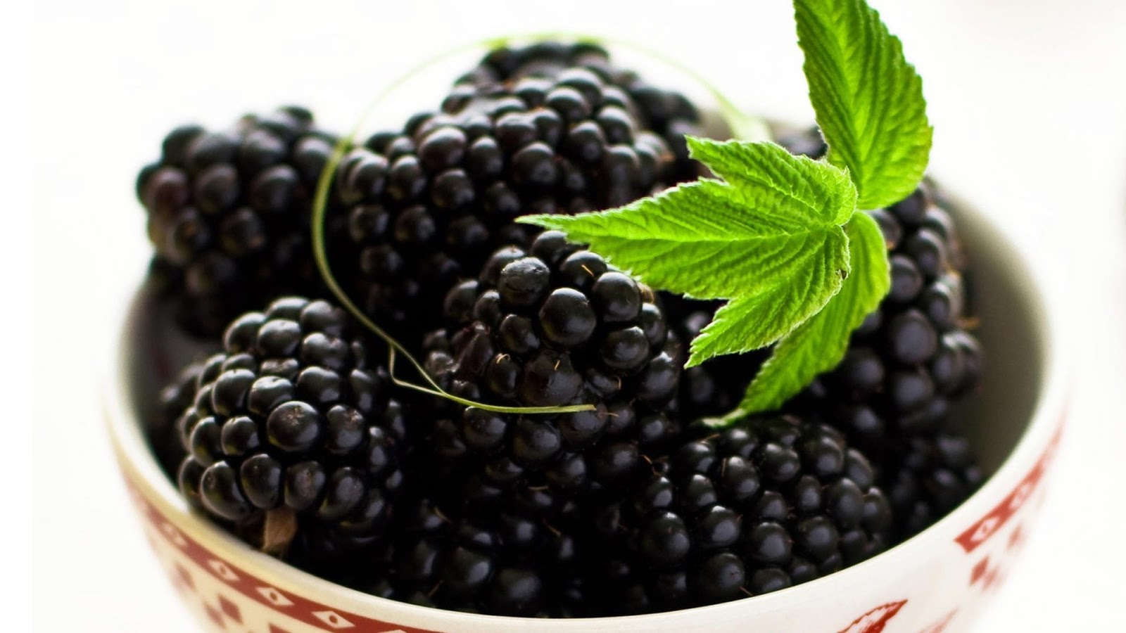 Gambar Wallpaper Buah Blackberry Www Buahaz Com