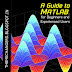 EBOOK: A Guide to MATLAB for Beginners and Experienced Users