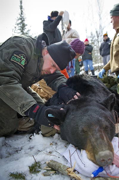 75th anniversary of Pittman-Robertson Act is a perfect time to celebrate hunters’ role in conservation funding 