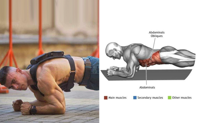 Plank Your Way to a Better You How to Do the Perfect Plank Exercise