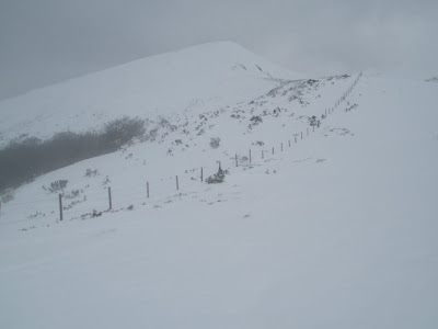 L´Abedular desde La Cerra