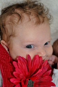 bellaflowersmilingeyes