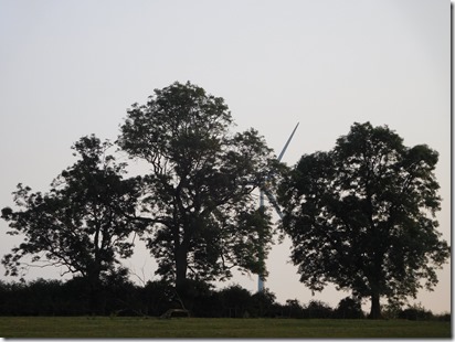 16 three trees and wind turbine