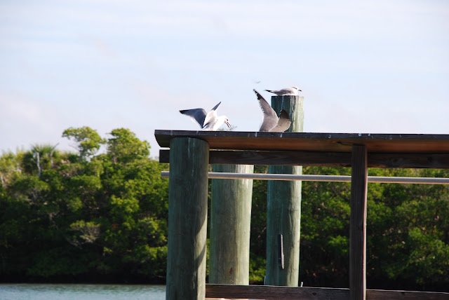 Manasota Key
