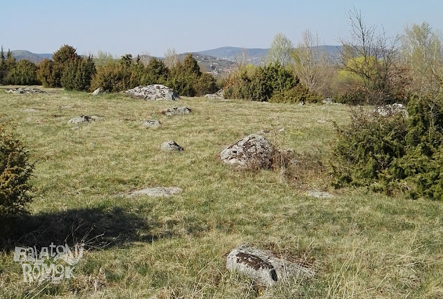 A Salföldi-kőtenger kövei borókabokrokkal.