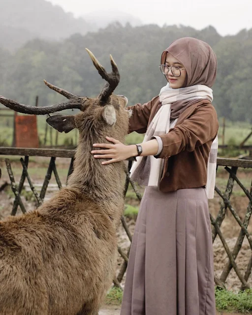 Menemukan Kedamaian dan Kehangatan di Wisata Ranca Upas Ciwidey: Liburan yang Tak Terlupakan