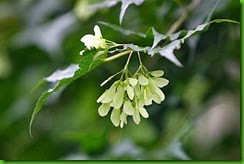 clip_image060