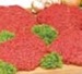 Cube Steak