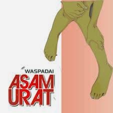  tips bebas asam urat