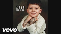 ZAYN - LIKE I WOULD (Audio)