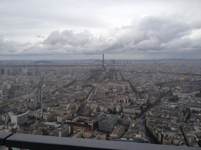 View from Montparnasse Tower