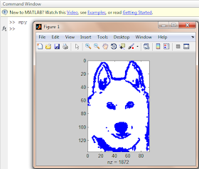 matlab "spy" command